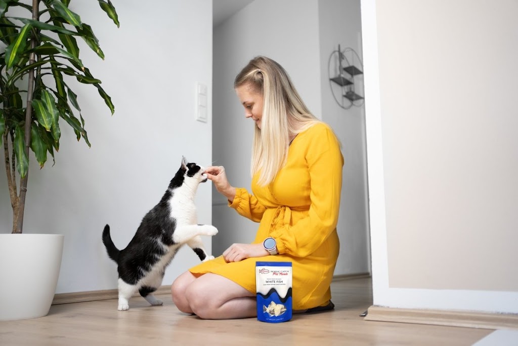 Nordic Catch | 8210 Lankershim Blvd # 4, Los Angeles, CA 91605, USA | Phone: (818) 767-2392