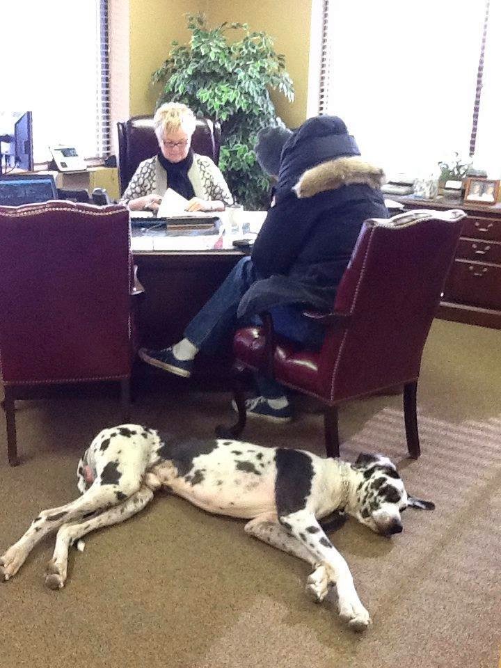 Cary Charlson - State Farm Insurance Agent | 6993 35th St N, Oakdale, MN 55128, USA | Phone: (651) 770-1849