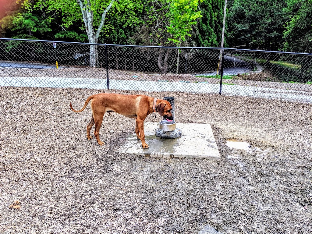 Skyland Dog Park | 2600 Skyland Dr NE, Atlanta, GA 30319, USA | Phone: (404) 637-0500