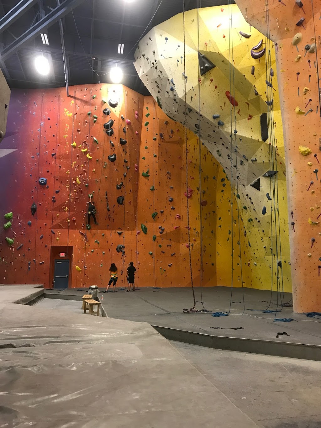 Planet Rock Climbing Gym | 1103 W 13 Mile Rd, Madison Heights, MI 48071, USA | Phone: (248) 397-8354