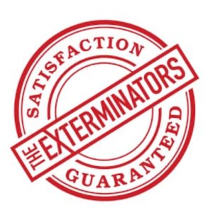 Pest Control Hamilton - Exterminator Hamilton | 126 Catharine St N, Hamilton, ON L8R 1J4 | Phone: (647) 560-0354