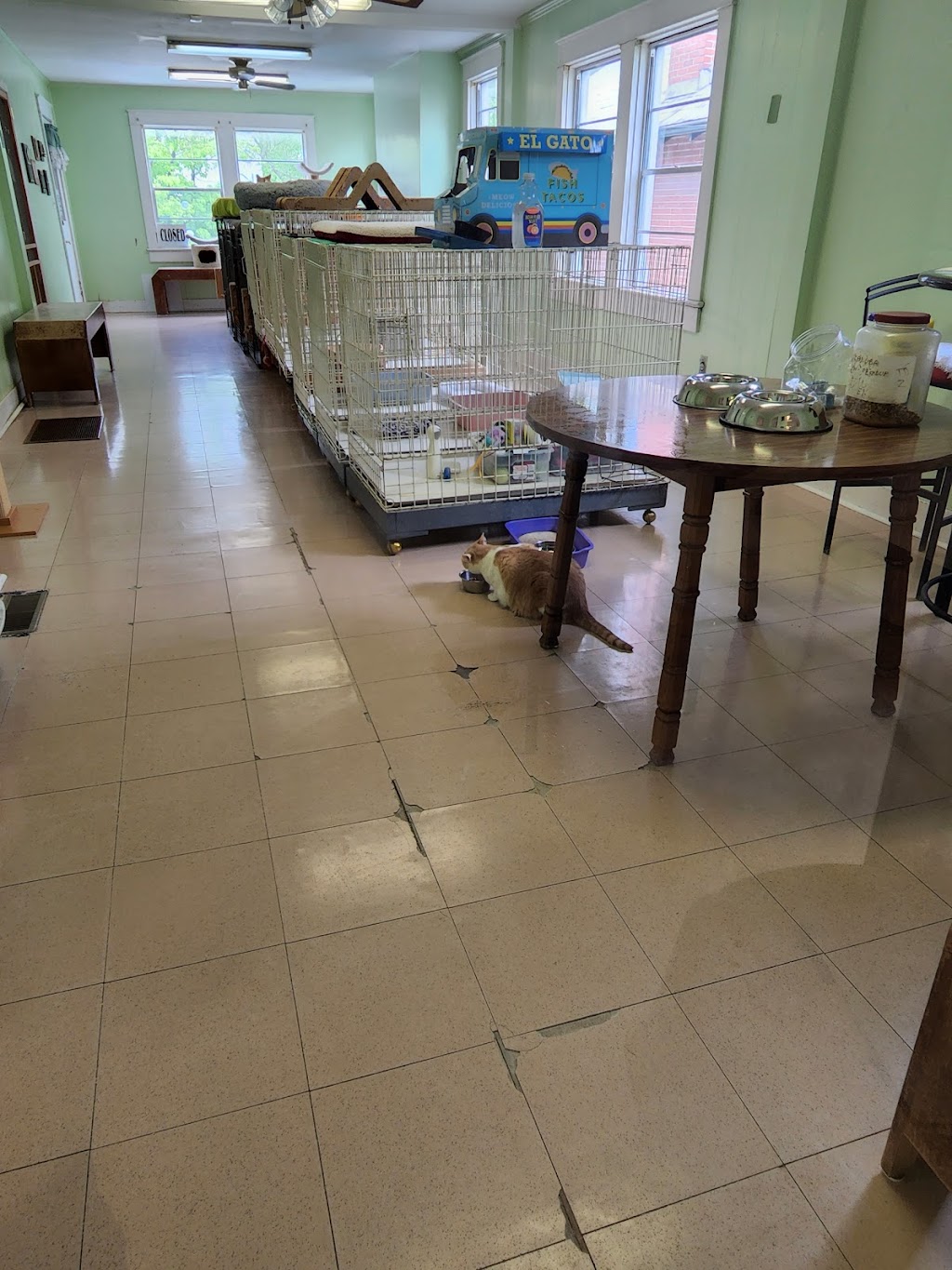 Alabama Animal Adoption Society | 2808 Crescent Ave, Birmingham, AL 35209, USA | Phone: (205) 871-6351