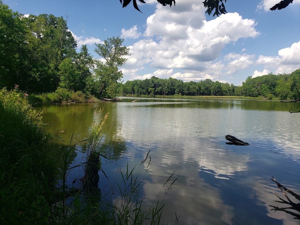 Wolsfeld Woods Scientific and Natural Area (SNA) | 2060 County Rd 6, Long Lake, MN 55356, USA | Phone: (651) 259-5800