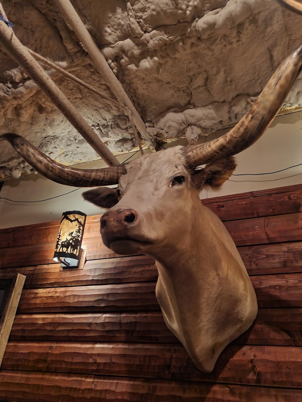 Cys Hoof and Horn Supper Club | 425 N Commercial Ave, Sedgwick, KS 67135, USA | Phone: (316) 772-5329