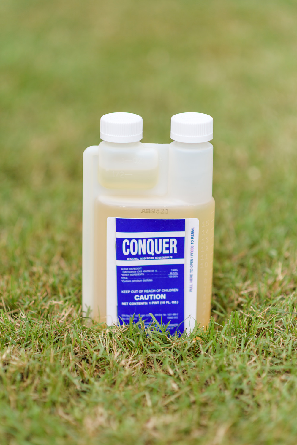 Alpha Pest Solutions LLC | 94 Kings Point Ave, Smithfield, VA 23430, USA | Phone: (757) 873-4999