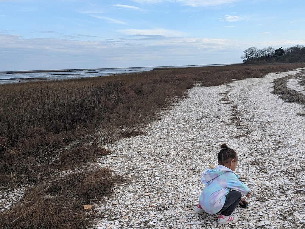 Mockhorn Island State Wildlife Management Area | Cape Charles, VA 23310, USA | Phone: (804) 367-1000