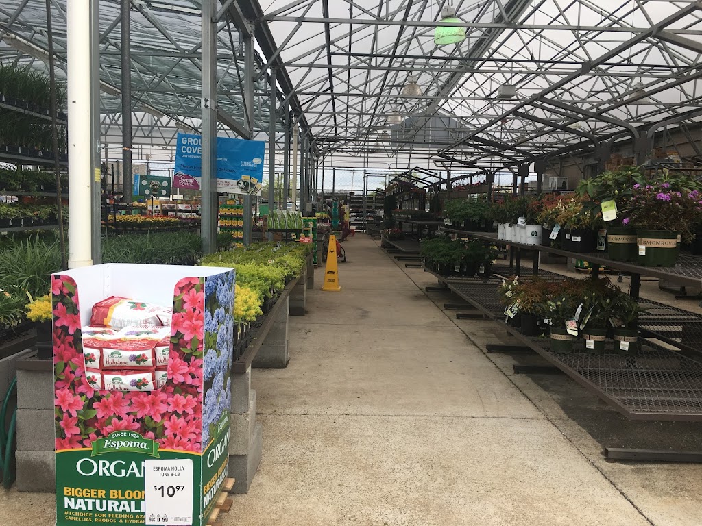 Lowes Garden Center | 430 S Germantown Pkwy, Cordova, TN 38018, USA | Phone: (901) 309-2379
