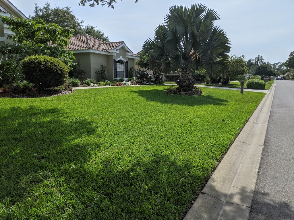 Benchmark Turf Management llc | 28747 Walker Dr, Wesley Chapel, FL 33544, USA | Phone: (813) 701-6999 Benchmark Turf Management llc | 28747 Walker Dr, Wesley Chapel, FL 33544, USA | Phone: (813) 701-6999