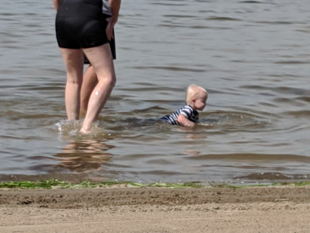 Coon Lake County Park | 5450 197th Ave NE, Columbus, MN 55025, USA | Phone: (763) 757-3920