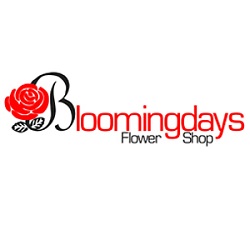 Bloomingdays Flower Shop | 11618 N Florida Ave, Tampa, FL 33612, United States | Phone: (813) 933-1942