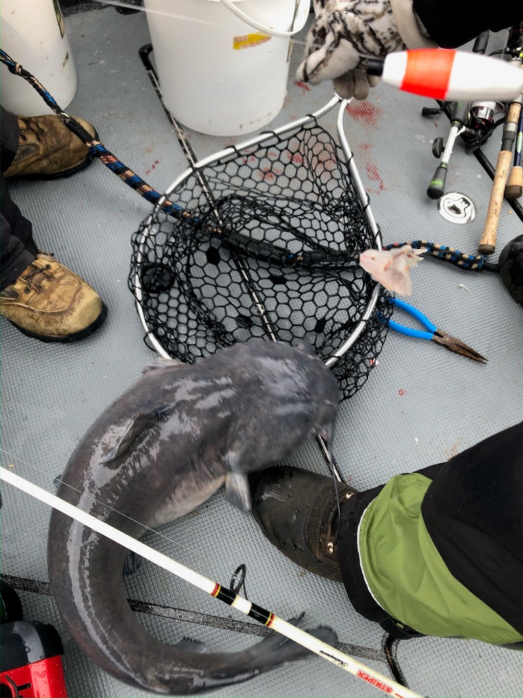 Herbecks Lonestar Fishing | 13716 Park Harbor Dr, Eustace, TX 75124, USA | Phone: (214) 914-9566