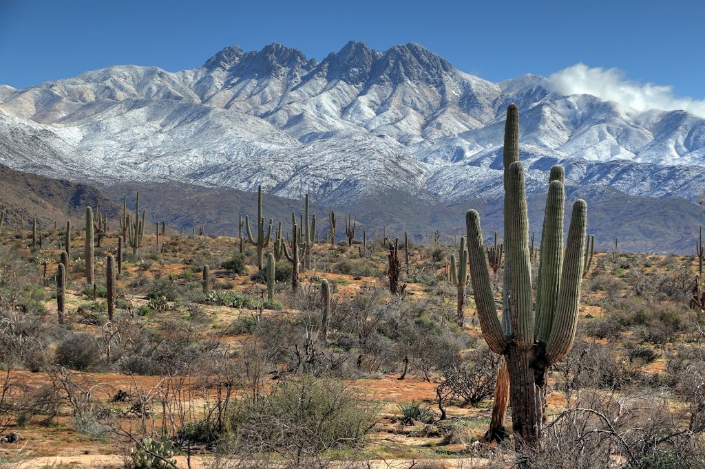 Four Peaks Wilderness Area | 4 Peaks Rd, Fort McDowell, AZ 85264, USA | Phone: (602) 225-5200