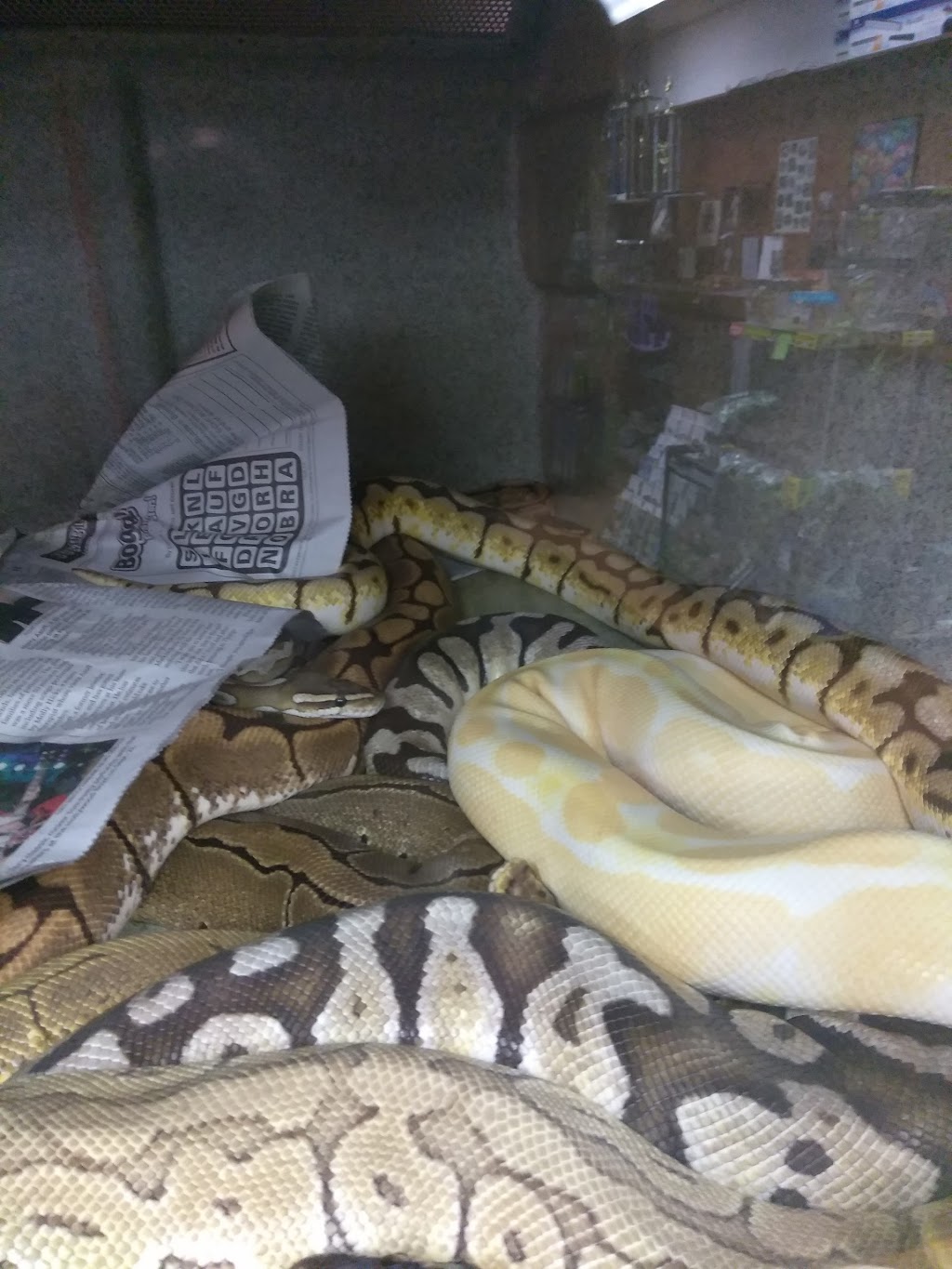 Zoo Reptiles Birds & Fish | 1444 State St, Schenectady, NY 12304, USA | Phone: (518) 370-0042