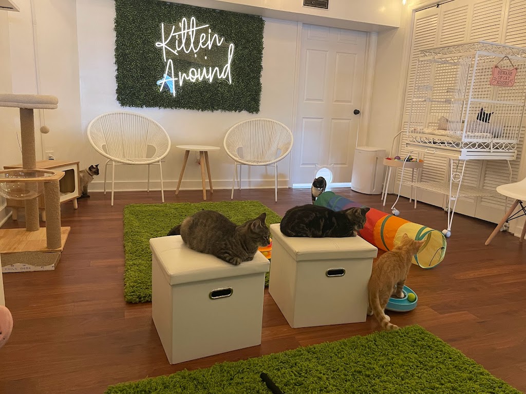 Kitten Around Cat Lounge | 18 Courthouse Square, Carthage, NC 28327, USA | Phone: (910) 722-2292