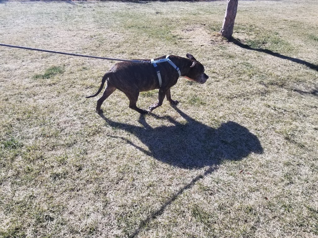 Casa Grande Linear Park | Albuquerque, NM 87111, USA | Phone: (505) 452-5200