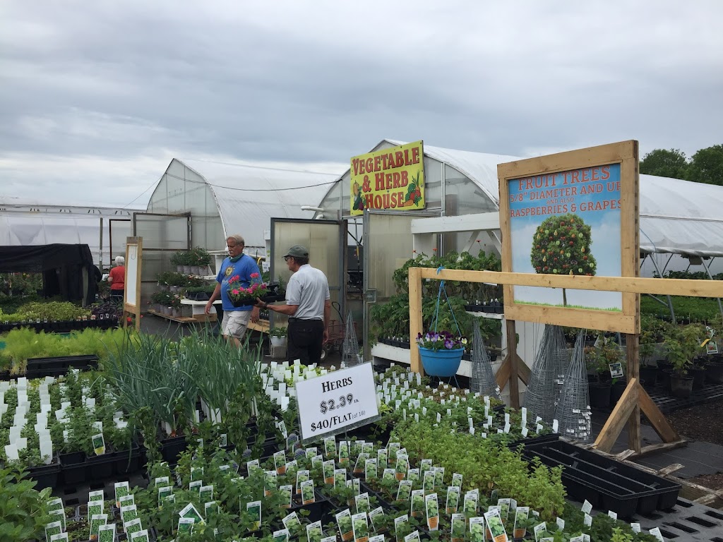 Alexander Farm Market & Greenhouses | 6925 Whitmore Lake Rd, Whitmore Lake, MI 48189, USA | Phone: (734) 741-1064