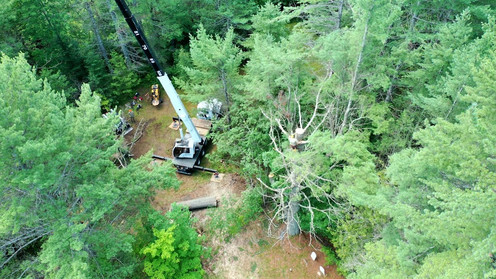 High Peaks Tree Removal | 71 Big Boom Rd, Queensbury, NY 12804, USA | Phone: (518) 668-9601