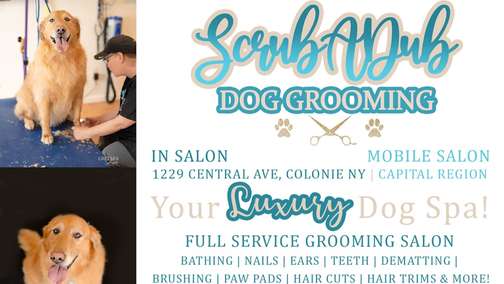 ScrubADub Dog Grooming | 1229 Central Ave, Colonie, NY 12205, USA | Phone: (518) 698-5117
