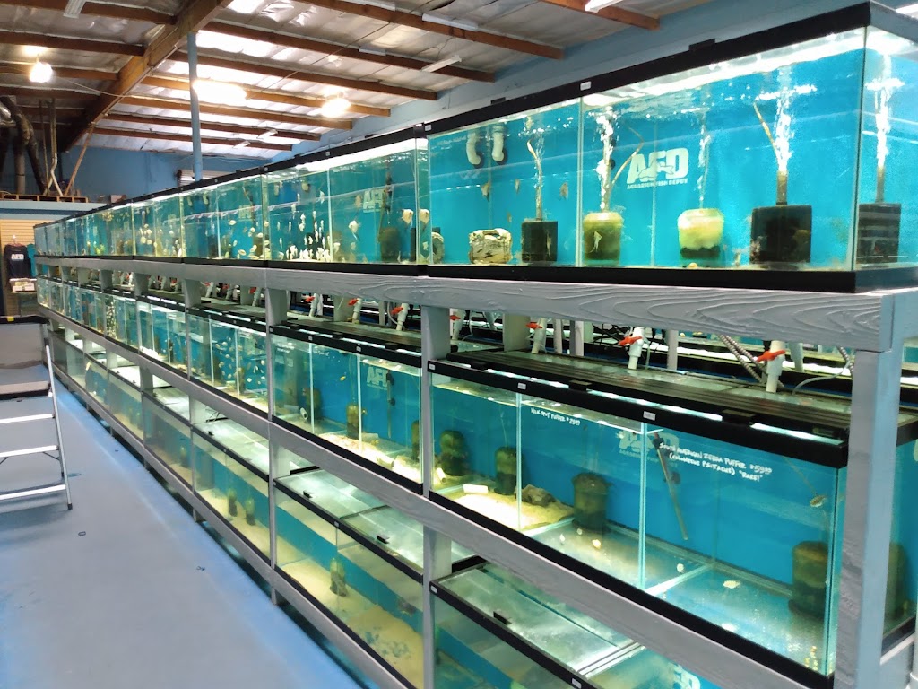 Aquarium Fish Depot | 5121 Santa Fe St Suite F, San Diego, CA 92109, USA | Phone: (858) 926-2060