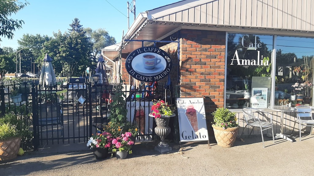 Cafe Amalia | 445 Thorold Rd, Welland, ON L3C 3W7, Canada | Phone: (905) 734-1500