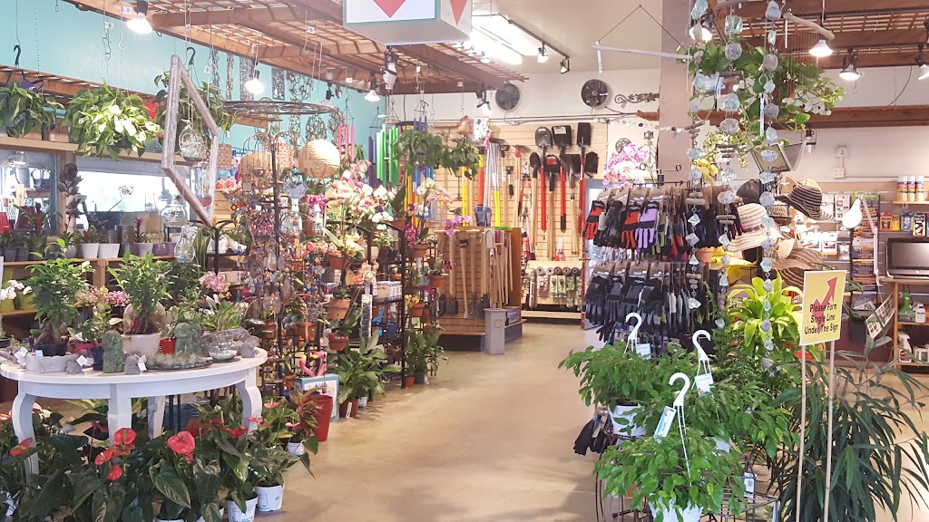 East Bay Nursery | 2332 San Pablo Ave, Berkeley, CA 94702, USA | Phone: (510) 845-6490