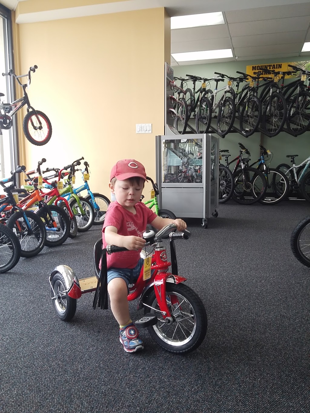 Montgomery Cyclery Erlanger | 3708 Dixie Hwy, Erlanger, KY 41018, USA | Phone: (859) 342-7300