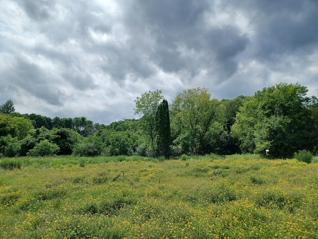 Lake Minnetonka Regional Park | 4610 County Rd 44, Minnetrista, MN 55364, USA | Phone: (763) 694-7754