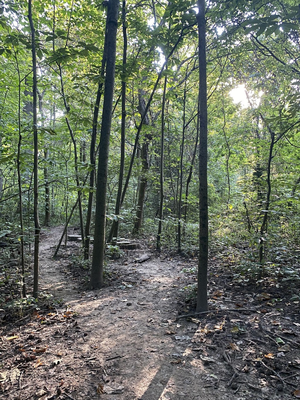 Old Forest State Natural Area | Memphis, TN 38104 | Phone: (901) 214-5450