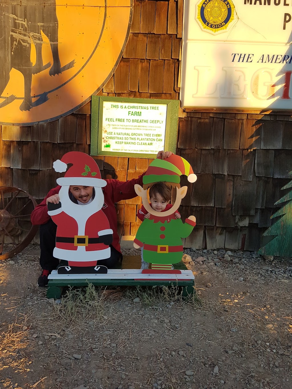 Pine Country The Martin Family | Gustine, CA 95322, USA | Phone: (209) 854-3636