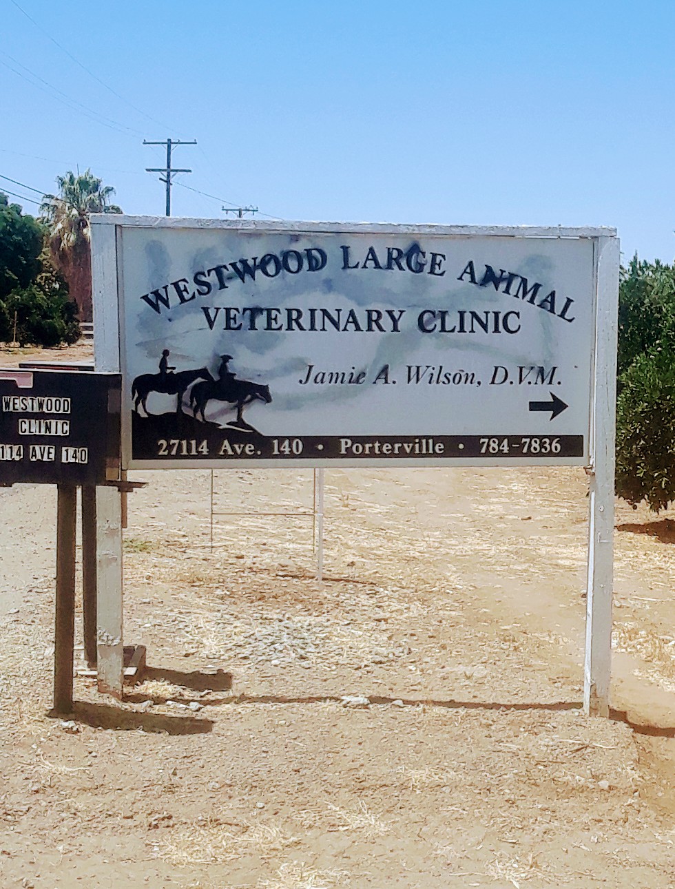 Westwood Large Animal Clinic | 27114 Ave 140, Porterville, CA 93257, USA | Phone: (559) 784-7836