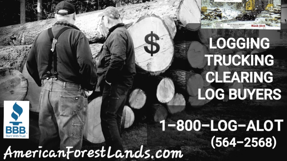 American Forest Lands Washington Logging Company LLC | 21410 SE 248th St, Maple Valley, WA 98038, USA | Phone: (800) 564-2568