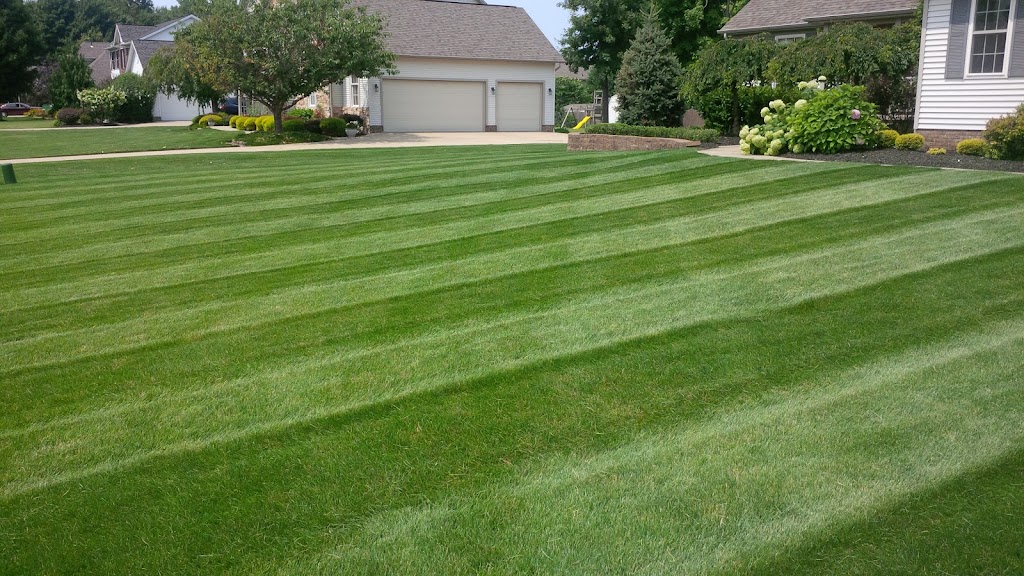 Naylor Nutrilawn & Landscape Inc. PGR Systems | 9260 Valley View Rd #5, Macedonia, OH 44056, USA | Phone: (330) 650-4251