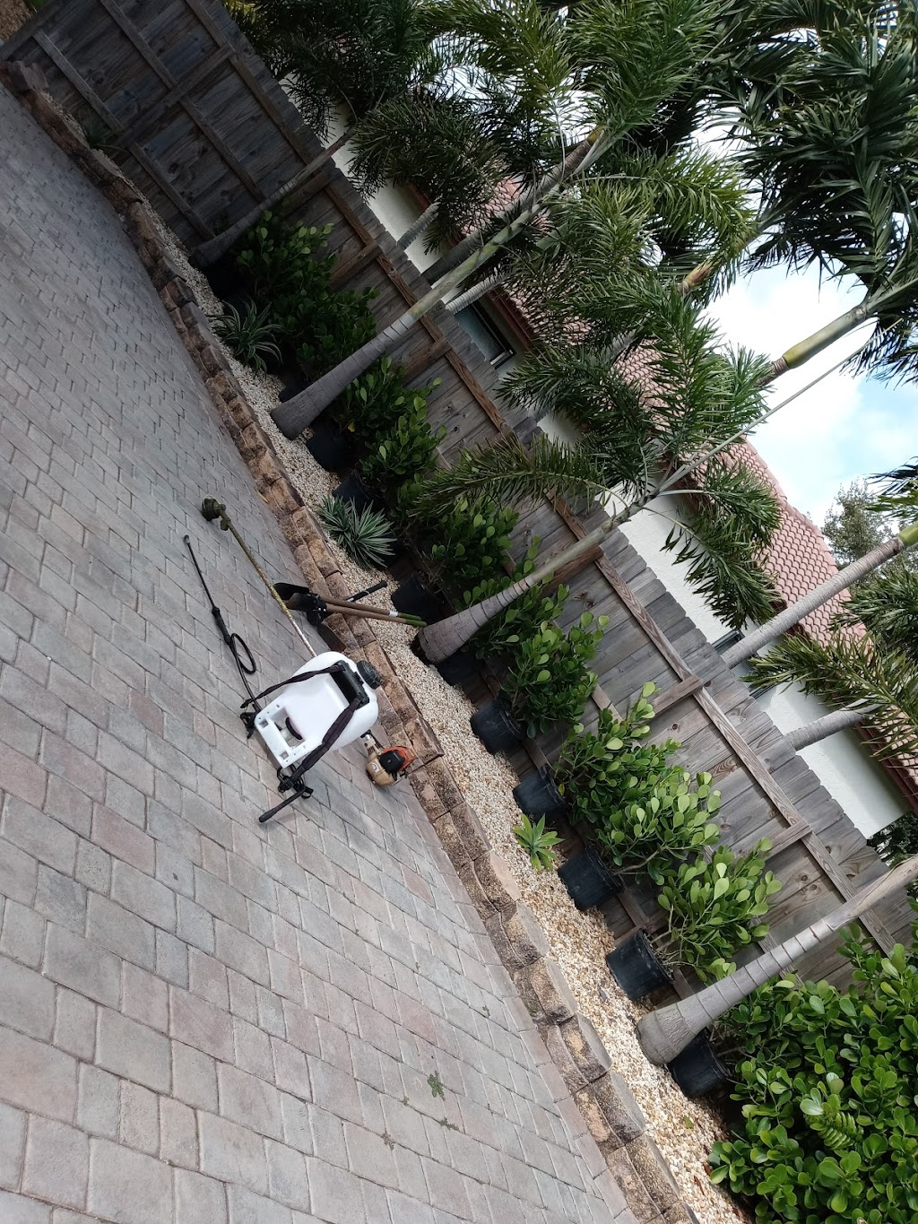 CnA lawn care & landscaping | 135 NW 17th St, Homestead, FL 33030, USA | Phone: (786) 857-0485