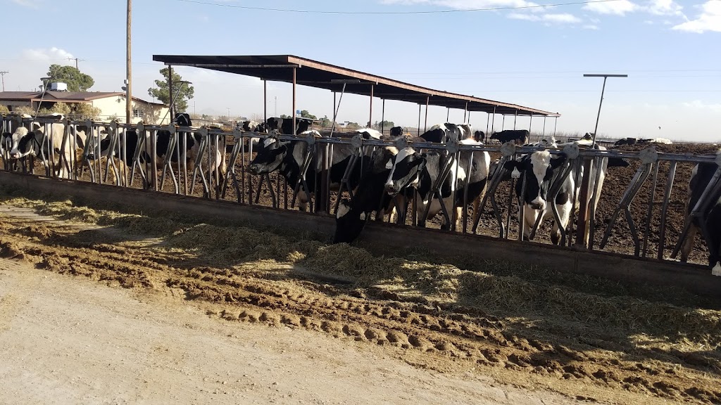 Dominguez Dairy | Stern Dr, Mesquite, NM 88048, USA | Phone: (915) 204-9567