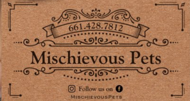 Mischievous Pets | 1936 High St., Delano, CA 93215, USA | Phone: (661) 428-7812