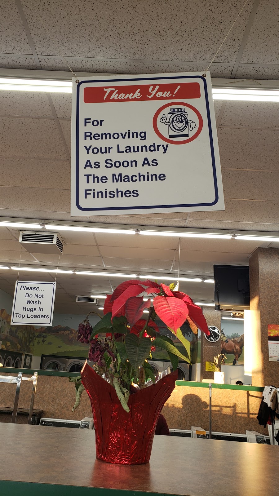 SoCal Wash and Fold - Adams & Maple | 401 E Adams Blvd, Los Angeles, CA 90011, USA | Phone: (818) 429-3407