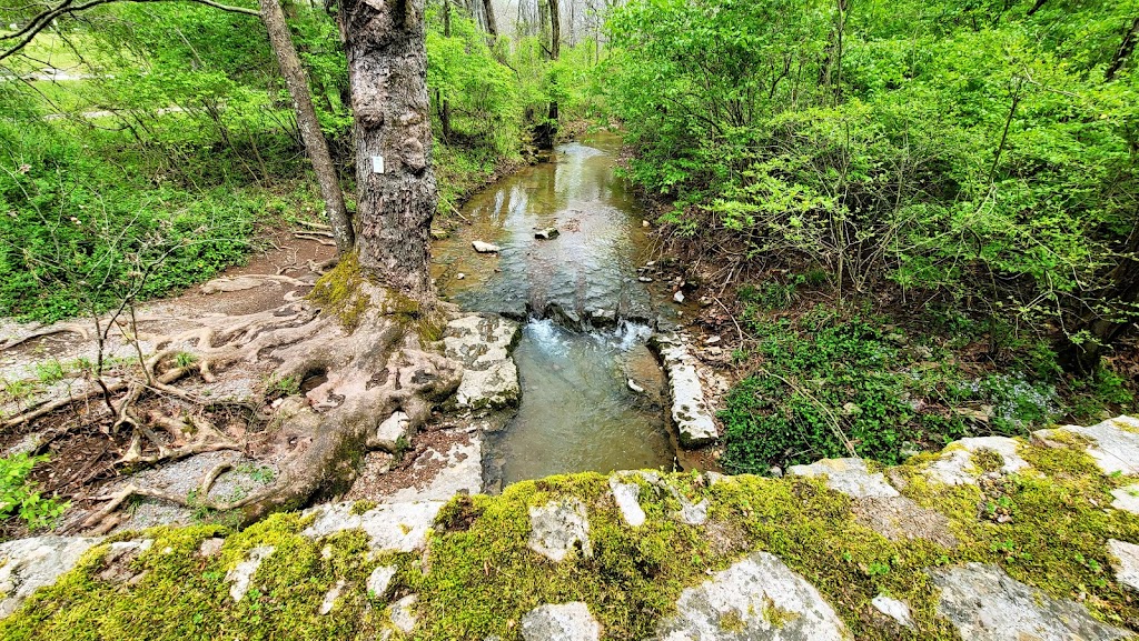 Warner Park Nature Center | 7311 TN-100, Nashville, TN 37221, USA | Phone: (615) 862-8555