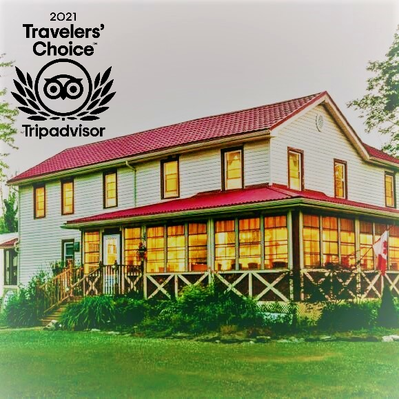 The Wandering Dog Inn | 1060 East West Rd, Pelee Island, ON N0R 1M0, Canada | Phone: (226) 526-5939