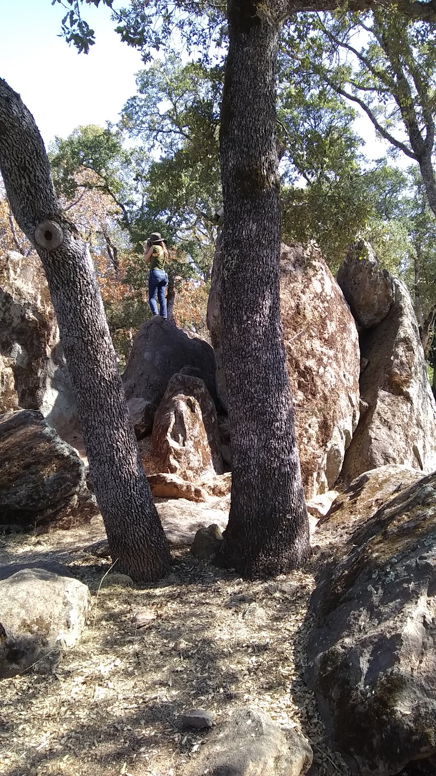 William C. "Bill" McCabe Park | 2581 Hoffman Ct, El Dorado Hills, CA 95762, USA | Phone: (916) 933-6624