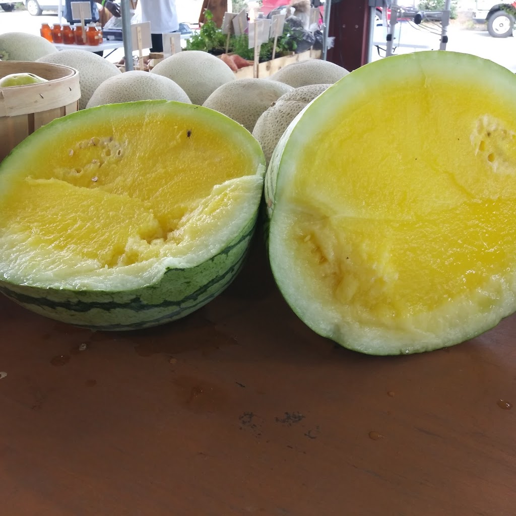 American Melon Sales, LLC. | 8107 E, US-175, Kemp, TX 75143, USA | Phone: (903) 498-0087