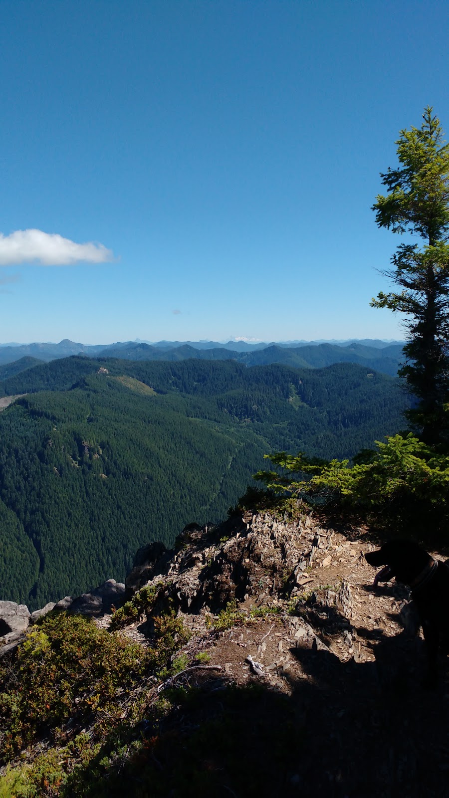 Table Rock Wilderness | Table Rock Wilderness, Molalla, OR 97038, USA | Phone: (503) 375-5646