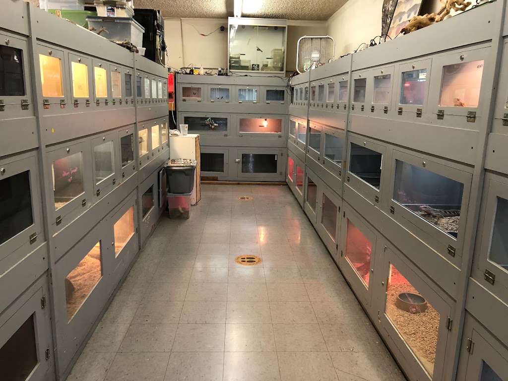 La Habra Exotic Pets | 1919 W La Habra Blvd, La Habra, CA 90631, USA | Phone: (562) 697-7110
