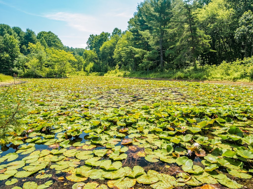 Maydale Conservation Park | 1638 Maydale Dr, Silver Spring, MD 20905, USA | Phone: (301) 495-2595