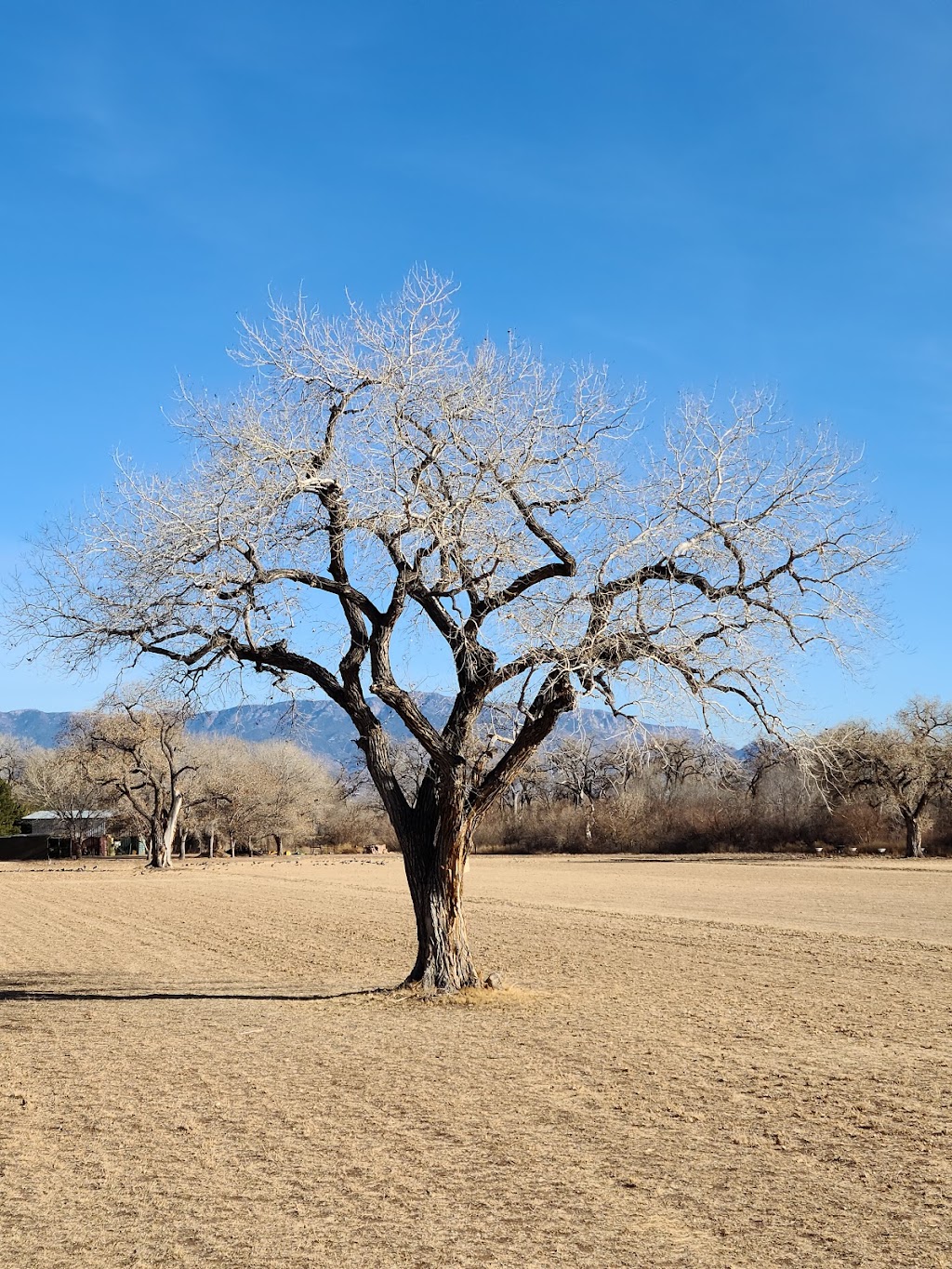 Open Space Visitor Center | 6500 Coors Blvd NW, Albuquerque, NM 87120 | Phone: (505) 768-4950