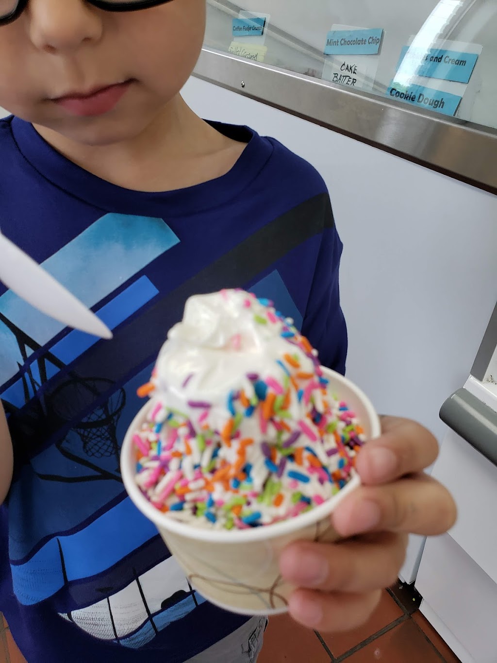 Frozen side Ice Cream | 3286 Long Beach Rd, Oceanside, NY 11572 | Phone: (516) 286-0077