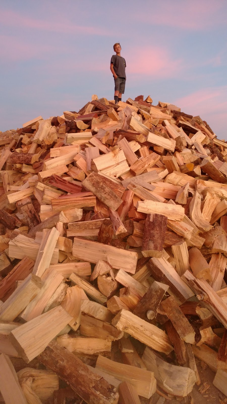 Blue Mountain Firewood | 32862 Old Woman Springs Rd, Lucerne Valley, CA 92356, USA | Phone: (760) 680-6894