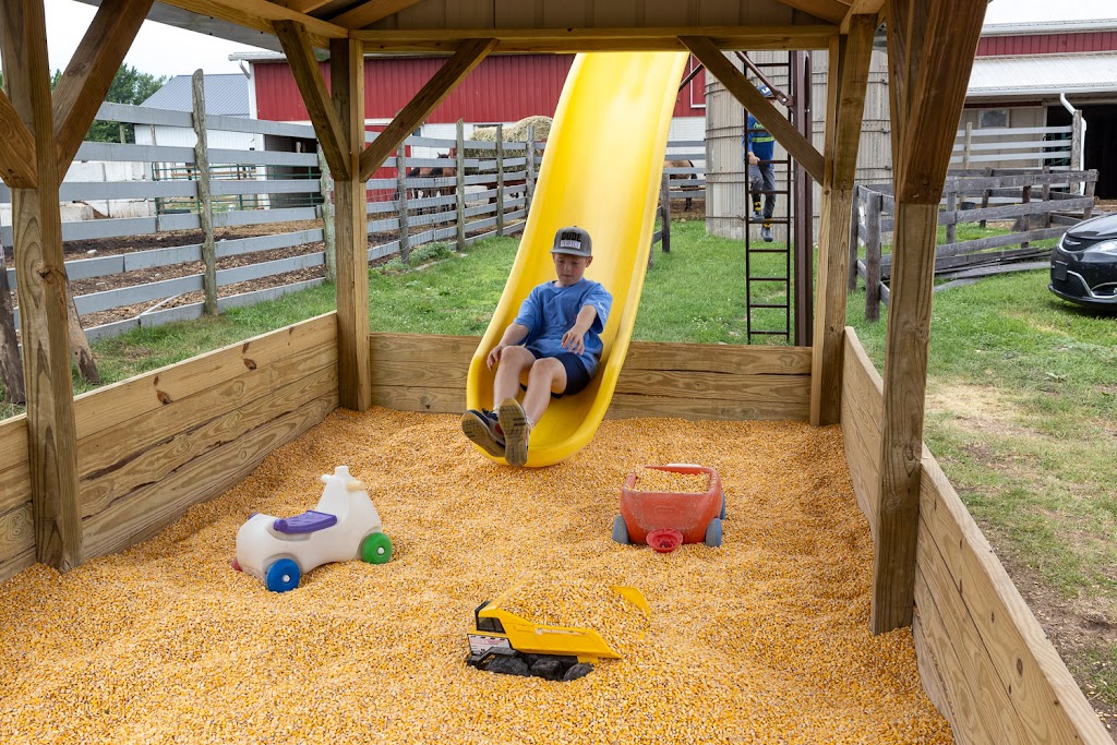 Dutch Creek Farm Animal Park | 6255 N 1000 W, Shipshewana, IN 46565, USA | Phone: (260) 768-4416