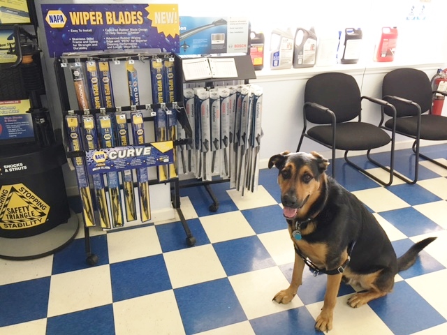 Hi-Tech Automotive | 8844 US-290, Austin, TX 78736, USA | Phone: (512) 288-0022