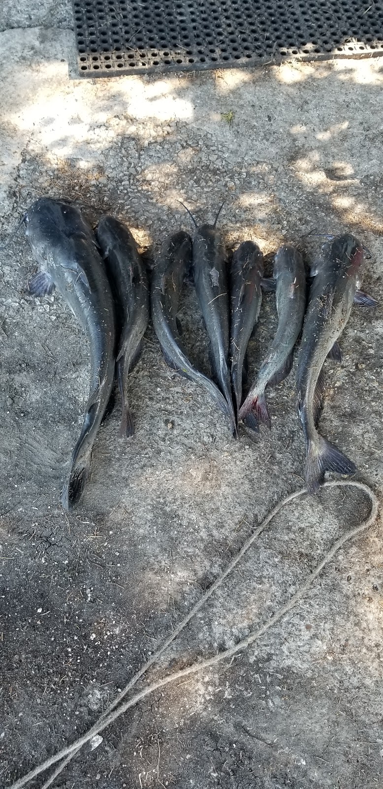 Texas Fishing LLC | 5490 FM 36, Caddo Mills, TX 75135, USA | Phone: (888) 976-9464