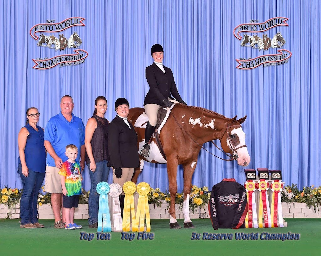 Vesper Show Horses | 1836 Daniels St, Kissimmee, FL 34746, USA | Phone: (407) 744-4239